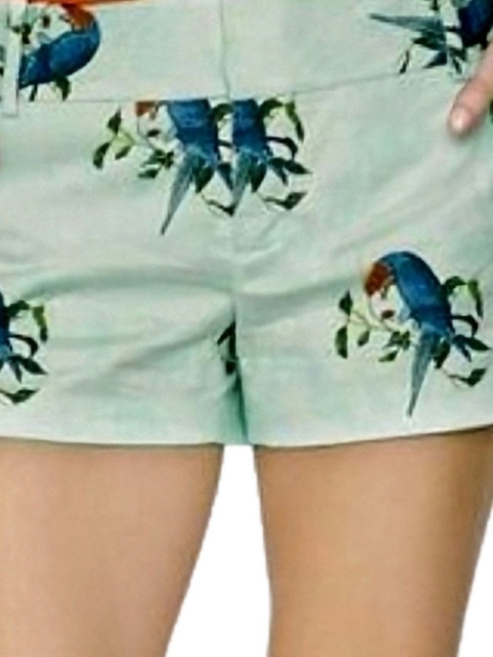 Women’s Aqua Parrot Print Pajama Shorts
